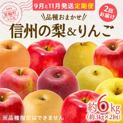 【発送月固定定期便】2025年 信州の梨&りんご(品種おまかせ) 約3kg 全2回