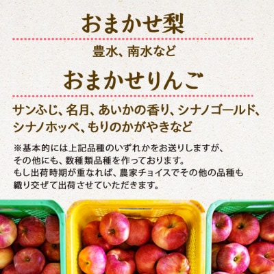【発送月固定定期便】2025年 信州の梨&りんご(品種おまかせ) 約3kg 全2回