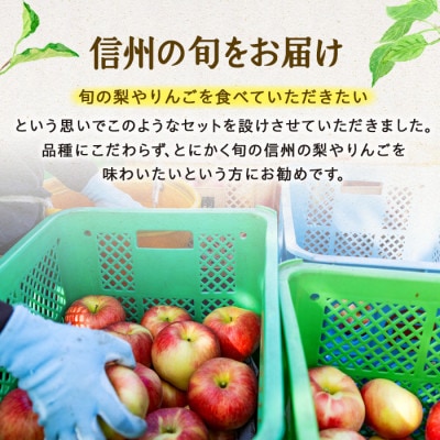 【発送月固定定期便】2025年 信州の梨&りんご(品種おまかせ) 約3kg 全2回