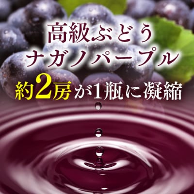 こだわり葡萄酒　ナガノパープルワイン 375mL×2本