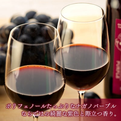 こだわり葡萄酒　ナガノパープルワイン 375mL×2本