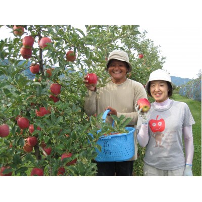 シードル La feerie de pomme 2020年・2021年度産 750ml×2本セット