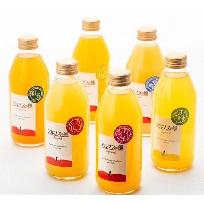 果汁100%ジュースで味わう信州のリンゴ　爽やか酸味が素敵な品種のリンゴジュース　小瓶6本