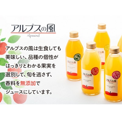 果汁100%ジュースで味わう信州のリンゴ　品種別に搾ったリンゴジュース 大瓶12本