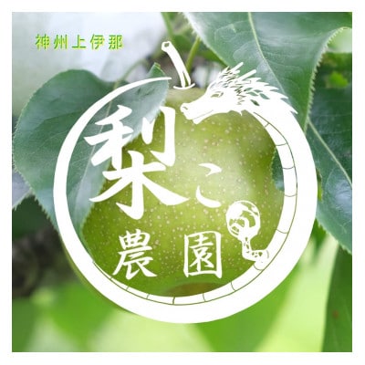【先行受付開始】安心安全の二十世紀梨!　栽培期間中農薬不使用