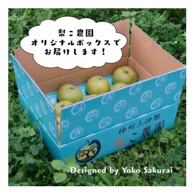 【先行受付開始】安心安全の二十世紀梨!　栽培期間中農薬不使用