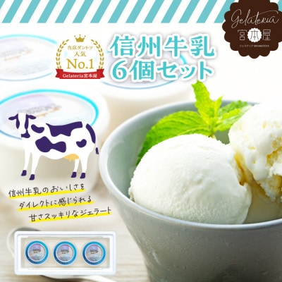 大人気!!信州牛乳6個セット