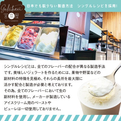 ジェラテリア宮本屋定番!ジェラート12個セット