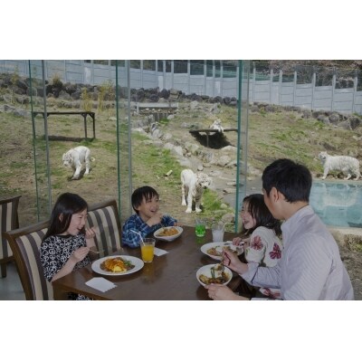 伊豆アニマルキングダム　入園券　2枚　A003/動物園　チケット　招待券　静岡県　東伊豆町