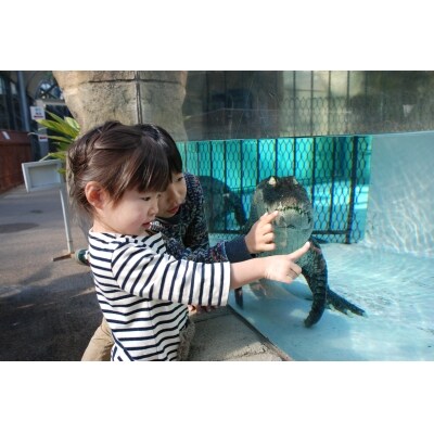 熱川バナナワニ園　入園　招待券　2枚　A004/熱帯　動植物園　チケット　静岡県　東伊豆町