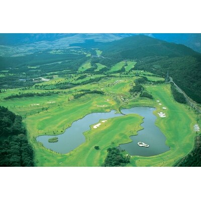 稲取ゴルフクラブ　昼食付　ペア　1ラウンドセルフプレー券　D006/チケット　利用券　静岡県　東伊豆 | ふるさと納税のお礼品