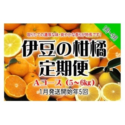 東伊豆産　伊豆の柑橘　定期便　Aコース　D010/収穫体験農園ふたつぼり　はるか　伊予柑　オレンジ