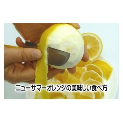 東伊豆産　伊豆の柑橘　定期便　Aコース　D010/収穫体験農園ふたつぼり　はるか　伊予柑　オレンジ