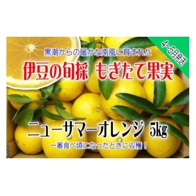 もぎたて果実　ニューサマーオレンジ　5kg　A018/収穫体験農園ふたつぼり　柑橘　フルーツ　静岡県