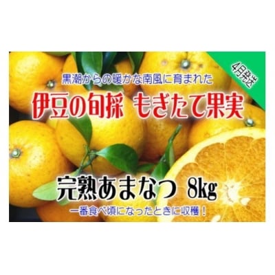 もぎたて果実 あまなつ 8kg A023/収穫体験農園ふたつぼり 柑橘 フルーツ 静岡県 東伊豆町