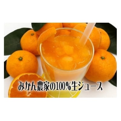 みかん狩り　収穫体験　搾りたて　生ジュース　お土産付　2名様　B018/収穫体験農園ふたつぼり