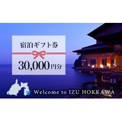 伊豆北川温泉「望水」　ふるさと納税　宿泊ギフト券(30000円分)　E011