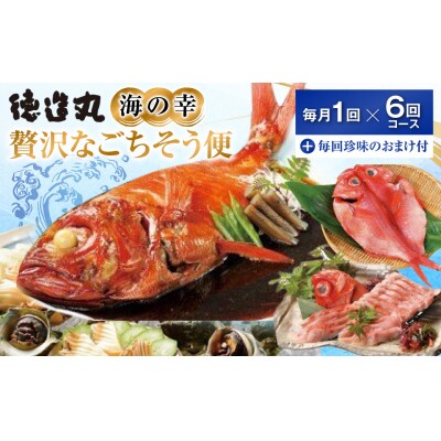 (冷凍) 贅沢なごちそう定期便 毎月1回×6回+毎回人気の珍味付き G010 / 徳造丸 東伊豆町