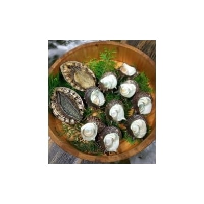 伊豆　天然　サザエ　アワビ　セット　(中)　C021/稲取水産　新鮮　活　厳選　静岡県　東伊豆町