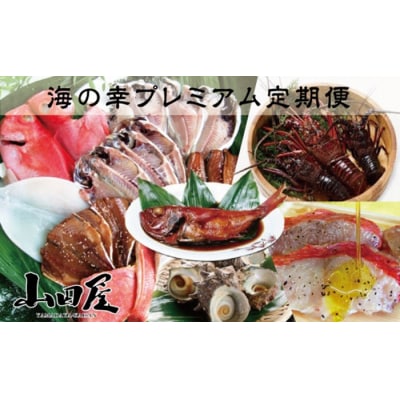 伊豆半島　海の幸　プレミアム　定期便　12回　I004/山田屋海産　海老　鯛　海鮮　静岡県　東伊豆町