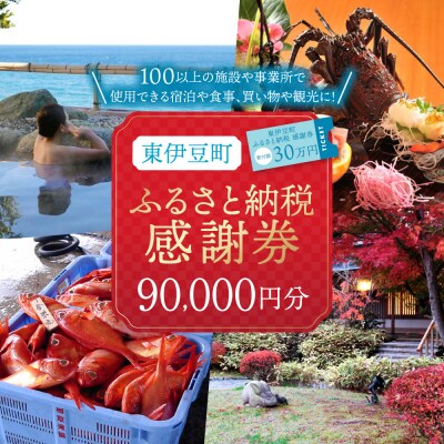 東伊豆町 ふるさと納税 感謝券 90000円 1077/静岡県 旅行 宿泊 チケット クーポン 補助