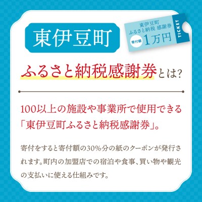 東伊豆町 ふるさと納税 感謝券 18000円 1071/静岡県 旅行 宿泊 チケット クーポン 補助