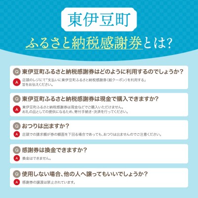 東伊豆町 ふるさと納税 感謝券 27000円 1074/静岡県 旅行 宿泊 チケット クーポン 補助