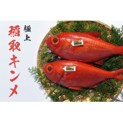 稲取 キンメ 姿煮 1164 / 山田屋海産 郷土料理 伝統の味付 金目鯛 静岡県 東伊豆町