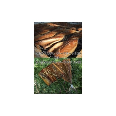 海の恵 セット 1230 / 山田屋海産 あじ さば エボダイ 干物 お取り寄せ 静岡県 東伊豆町