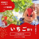 いちご狩り体験チケット  2名分食べ放題30分練乳付き いちごらんど中西 伊豆 1271