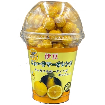 大容量 伊豆ニューサマーポップコーン 10個セット 1285 / 収穫体験農園ふたつぼり 東伊豆町