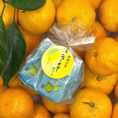 大容量 ニューサマーオレンジづくし お菓子 サイダー 詰め合わせ セット 1287 / 東伊豆町
