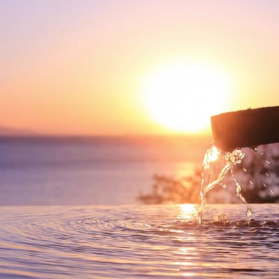 愛犬と泊まる源泉かけ流しの湯宿 湯宿福の湯 休前日限定宿泊券1泊2食付き1室2名様ご利用 1292