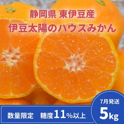 糖度11%以上　JAふじ伊豆　伊豆太陽のハウスみかん　5kg　静岡県産 1312 /東伊豆町