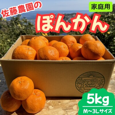 東伊豆・佐藤農園のポンカン　家庭用5kg(Mサイズ～3Lサイズ) 1321