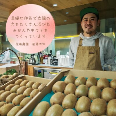 東伊豆・佐藤農園のポンカン　家庭用10kg(Mサイズ～3Lサイズ) 1323