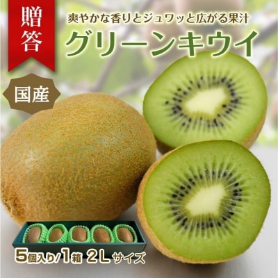 東伊豆・佐藤農園のキウイ　贈答用　5個入(2Lサイズ) 1330