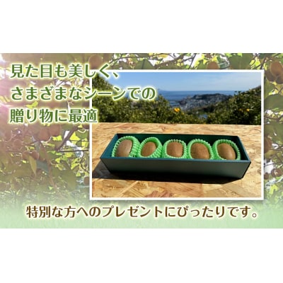 東伊豆・佐藤農園のキウイ　贈答用　5個入(2Lサイズ) 1330