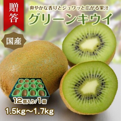 東伊豆・佐藤農園のキウイ　贈答用　12個入(2Lサイズ) 1331