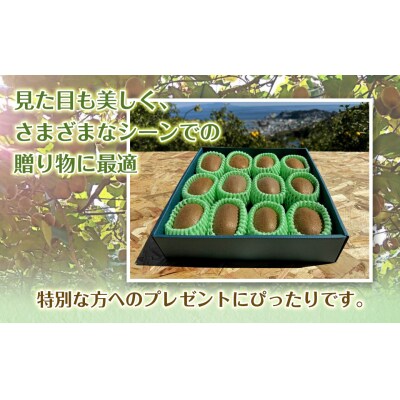 東伊豆・佐藤農園のキウイ　贈答用　12個入(2Lサイズ) 1331