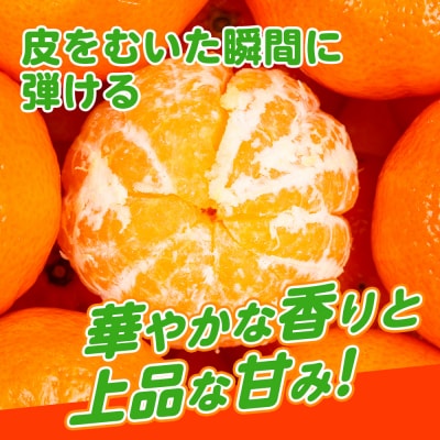 【1月配送】ポンカン　赤秀(最高級)　5kg　JAふじ伊豆　静岡県産 1381