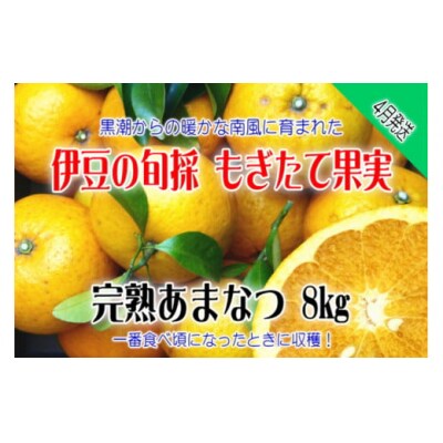 【伊豆のみかん・柑橘】もぎたて果実　あまなつ　8kg　A023 / 収穫体験農園ふたつぼり