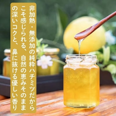 国産みかんはちみつ:伊豆の陽だまり みかんの生はちみつ(贈答用150g×2本) 1378