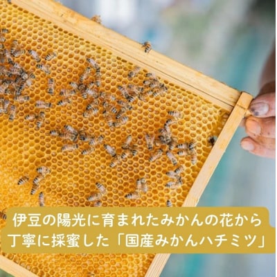 国産みかんはちみつ:伊豆の陽だまり みかんの生はちみつ(贈答用150g×2本) 1378