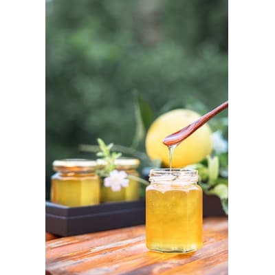 国産百花蜜:伊豆の花々 百花の生はちみつ(贈答用150g×2本) 1379 / Honey・D