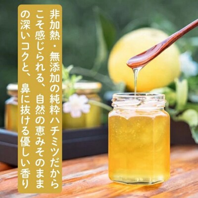 国産百花蜜:伊豆の花々 百花の生はちみつ(贈答用150g×2本) 1379 / Honey・D
