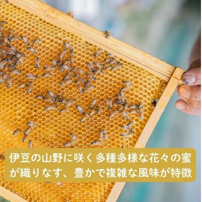国産百花蜜:伊豆の花々 百花の生はちみつ(贈答用150g×2本) 1379 / Honey・D