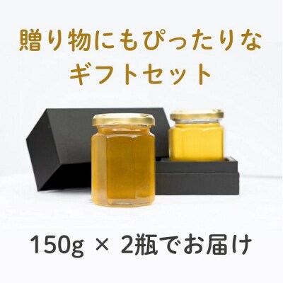 国産百花蜜:伊豆の花々 百花の生はちみつ(贈答用150g×2本) 1379 / Honey・D