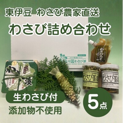 (冷蔵)わさび農家直送　無添加こだわり加工品+　生わさびDXセット 1384 / 大川因わさび園