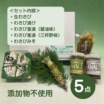(冷蔵)わさび農家直送　無添加こだわり加工品+　生わさびDXセット 1384 / 大川因わさび園